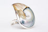 MERMAID COLLECTIVE NATURAL NAUTILUS RING