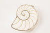 MERMAID COLLECTIVE WHITE NAUTILUS PENDANT PETITE