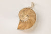 MERMAID COLLECTIVE NATURAL NAUTILUS PENDANT PETITE